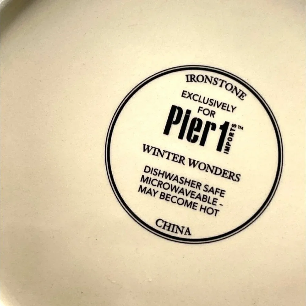 Pier 1 Winter's Wonder Holiday Christmas Ironstone Dinner Cereal Soup Bowl 8